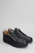 Giuseppe Zanotti